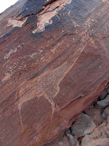 Twyfelfontein rock etchings