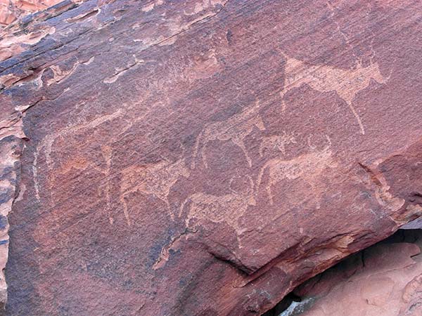 Twyfelfontein rock etchings