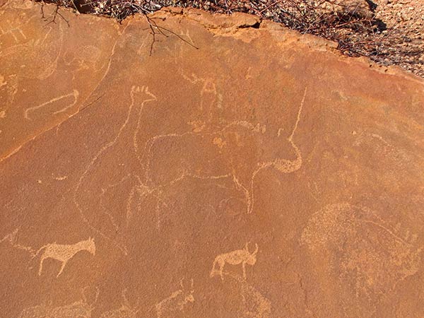 Twyfelfontein rock etchings