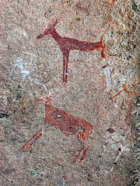 Cave paintings at Uis, Brandberg Mountain