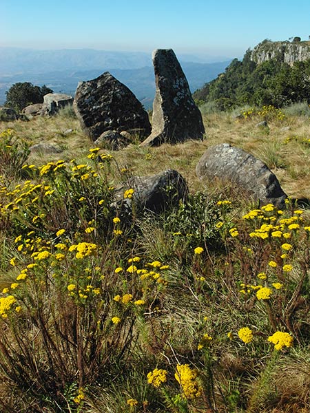 Adam's Calendar stone ring, Kaapsehoop