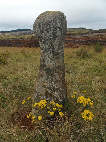 Adam's Calendar stone ring, Kaapsehoop