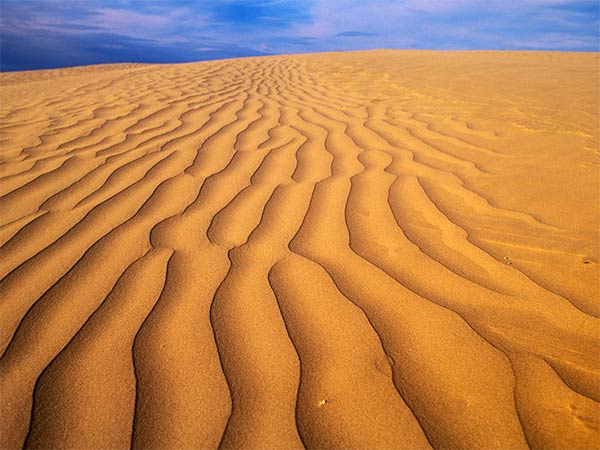 Great Sandhills, Saskatchewan