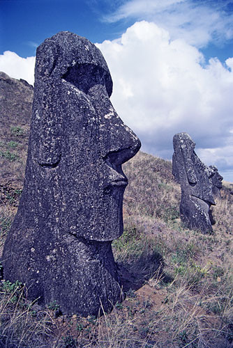 Moai Statues of Easter Island