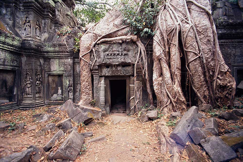 Temple of Ta Prohm, Angkor