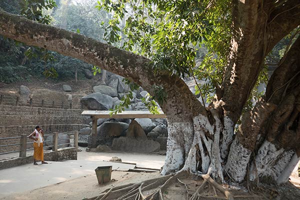 Carved boulders with Hindu images (beneath the roofed structure between Hindu priest and tree) at Surya Pahar, Assam