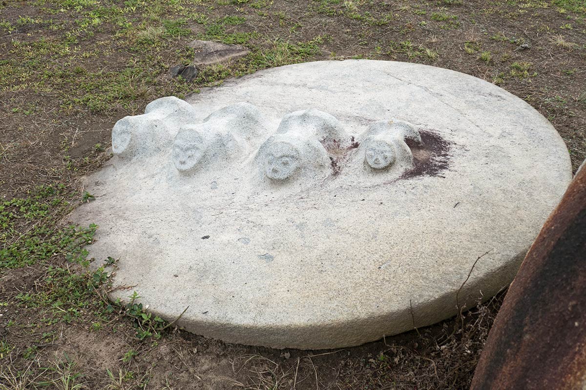 Carved lid of a kalamba, near Hanggira village, Besoa Valley