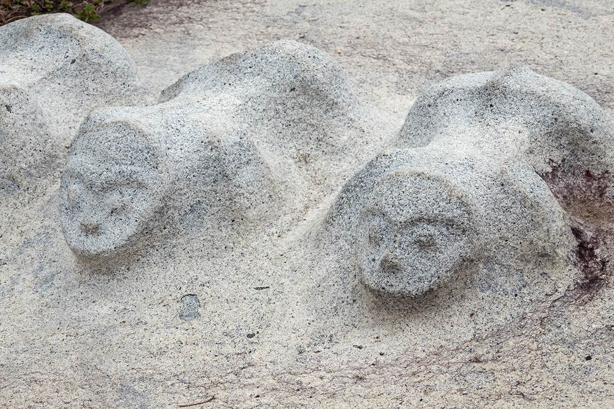 Close up of a carved lid of a kalamba, near Hanggira village, Besoa Valley