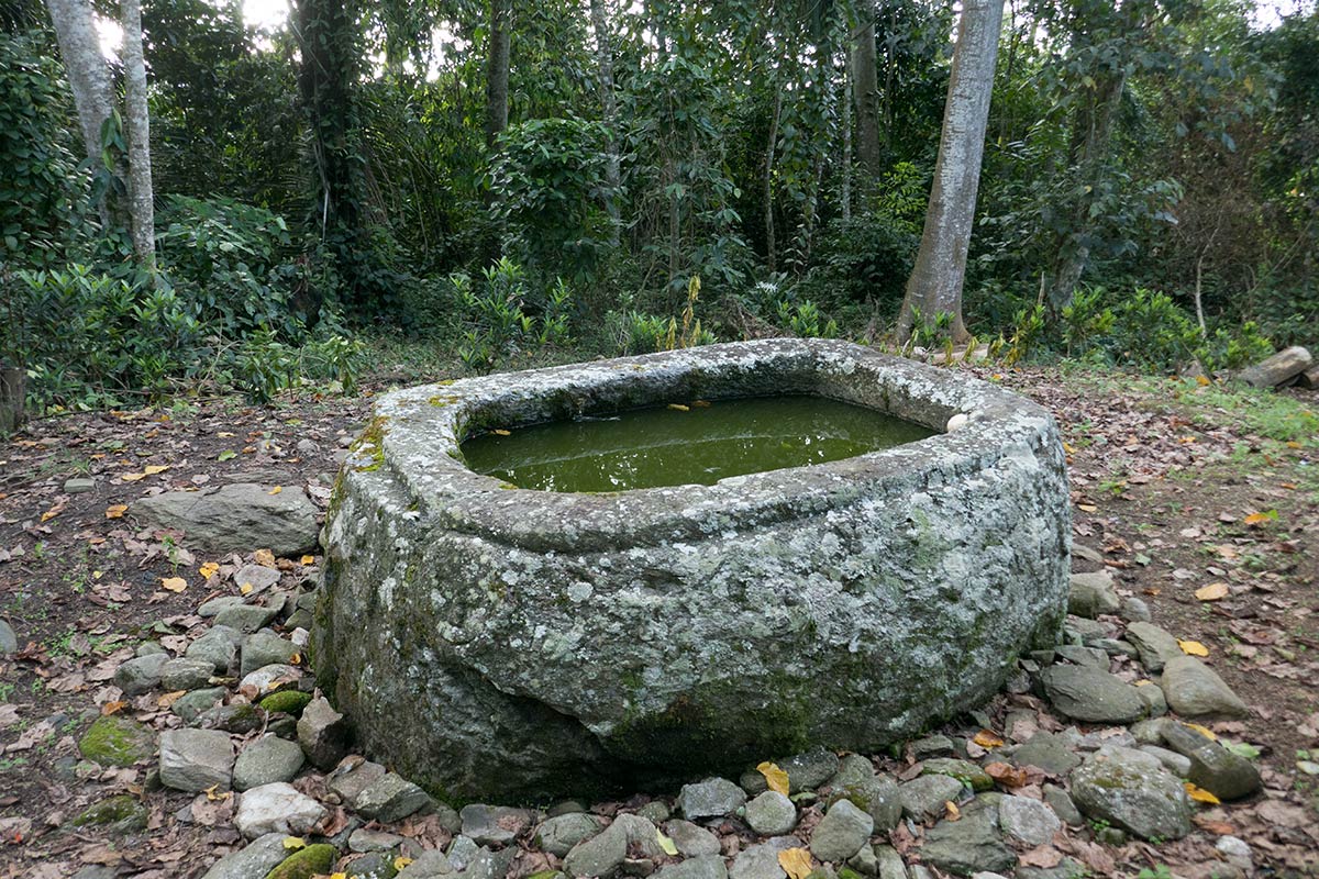 Watulumu kalamba near Tamadue village, Napu Valley